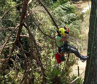 Resanado y descenso controlado de rama tronchada